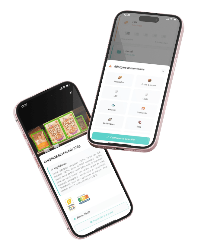 Aperçu de l'application Qera